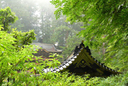 日光の社寺