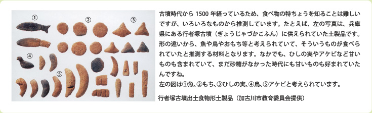 古墳時代から1500年経っているため、食べ物の特ちょうを知ることは難しいですが、いろいろなものから推測しています。たとえば、左の写真は、兵庫県にある行者塚古墳（ぎょうじゃづかこふん）に供えられていた土製品です。形の違いから、魚や鳥やおもち等と考えられていて、そういうものが食べられていたと推測する材料となります。なかでも、ひしの実やアケビなど甘いものも含まれていて、まだ砂糖がなかった時代にも甘いものも好まれていたんですね。